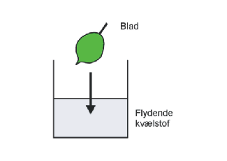 Diagram over forsg